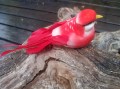 Veren vogel rood